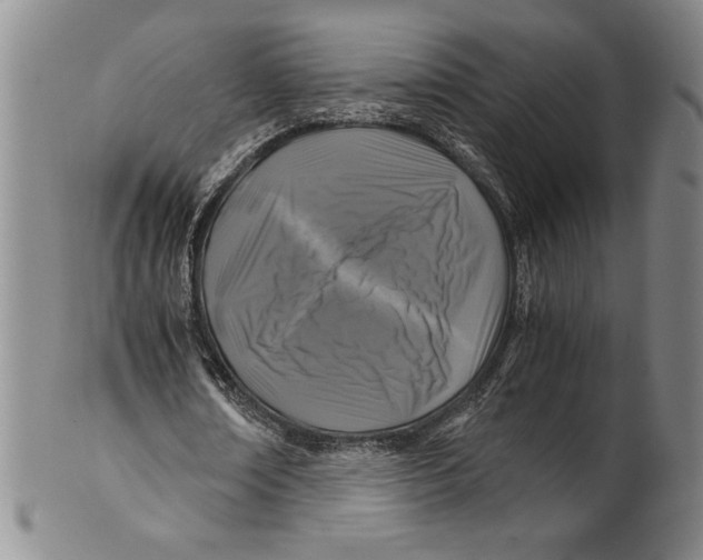X0000100760674200807171342