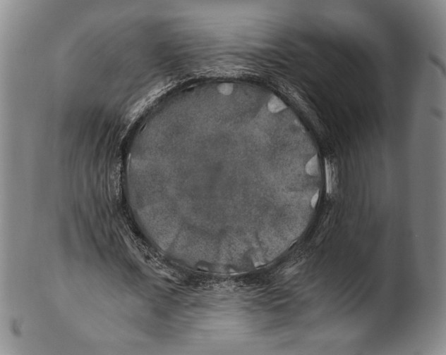 X0000100760675200807171342