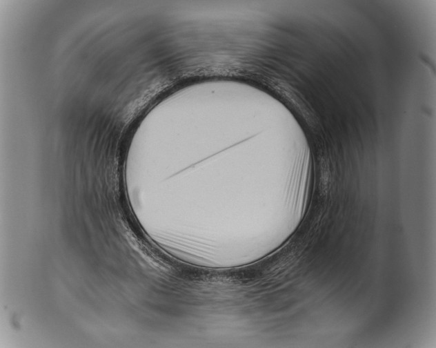 X0000100760677200807171342