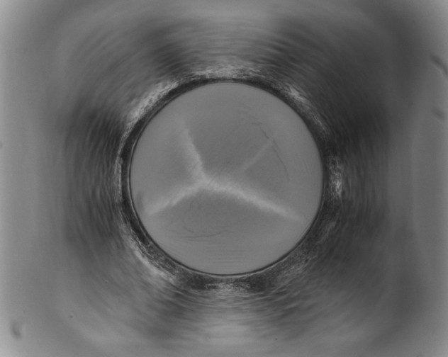 X0000100760678200807171342