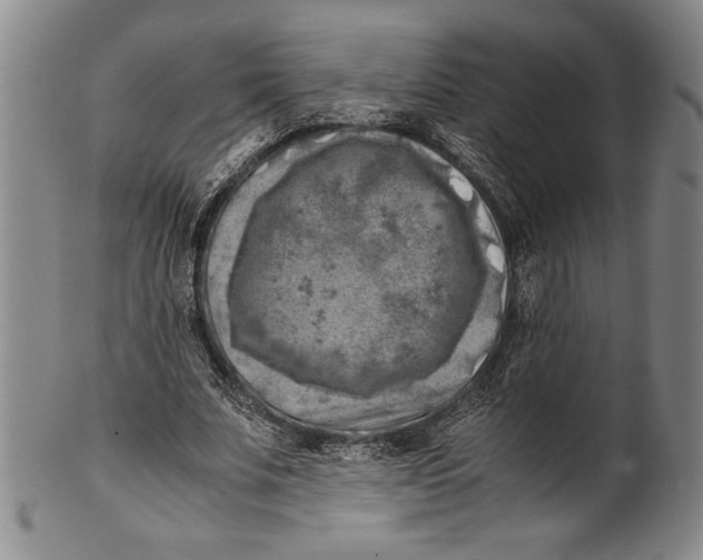 X0000100760679200807171342