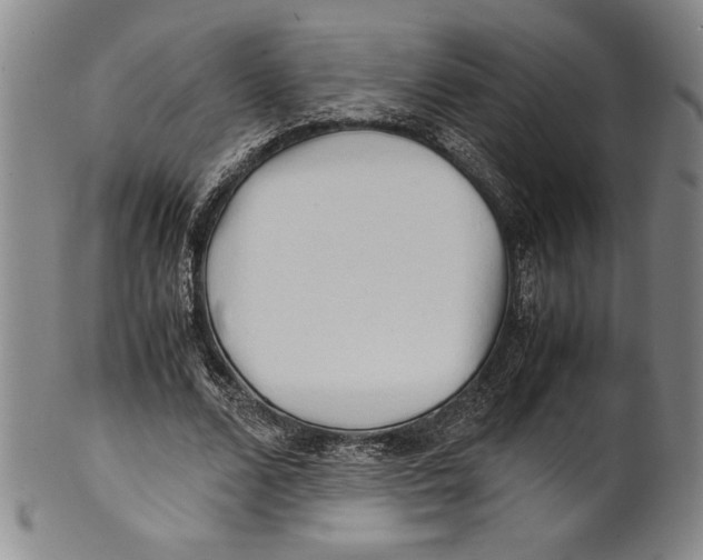 X0000100760680200807171342