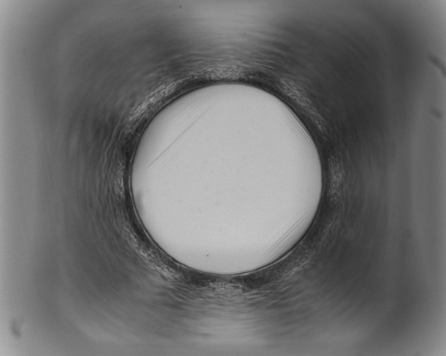 X0000100760681200807171342