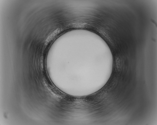 X0000100760682200807171342