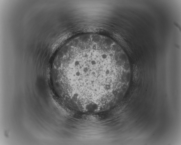 X0000100760683200807171342