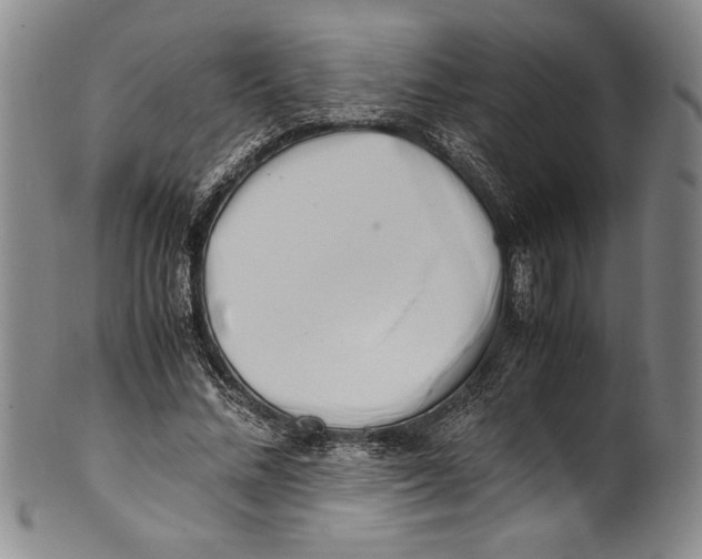X0000100760684200807171342