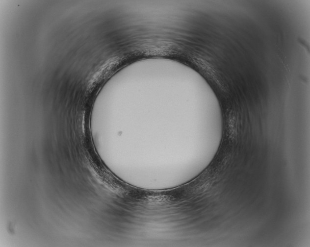 X0000100760686200807171342