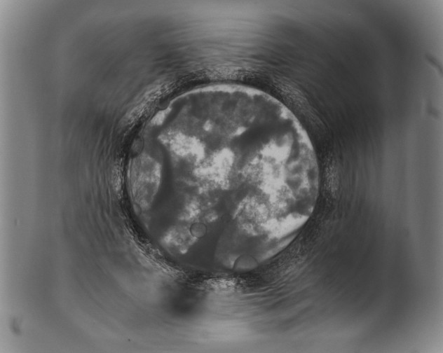X0000100760687200807171342
