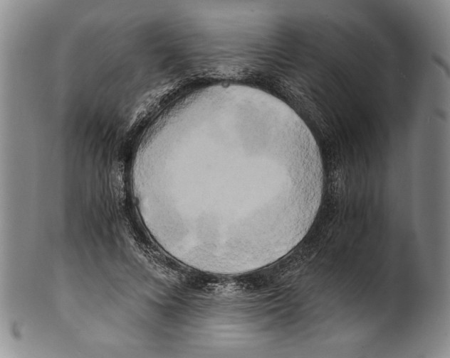 X0000100760688200807171342