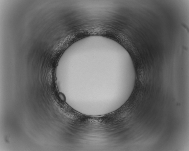 X0000100760690200807171342