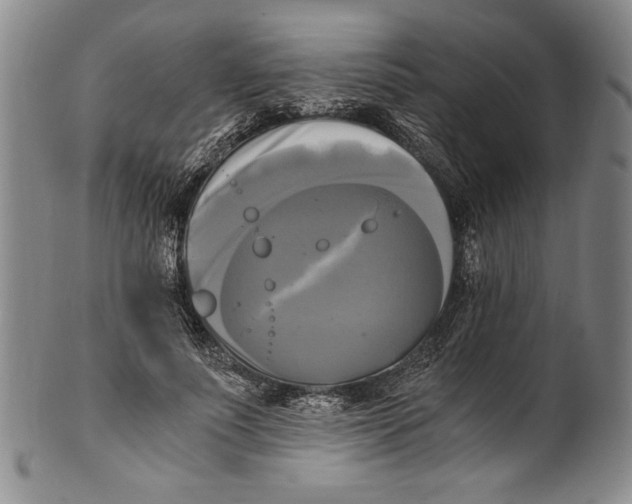 X0000100760691200807171342