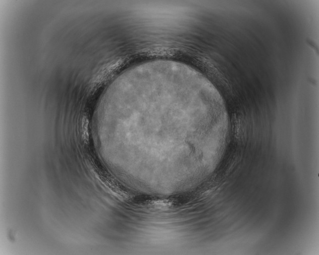 X0000100760692200807171342