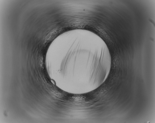 X0000100760693200807171342