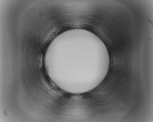 X0000100760694200807171342