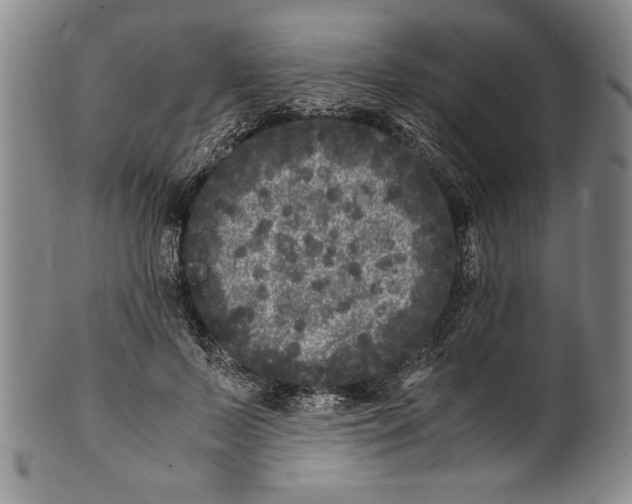 X0000100760695200807171342
