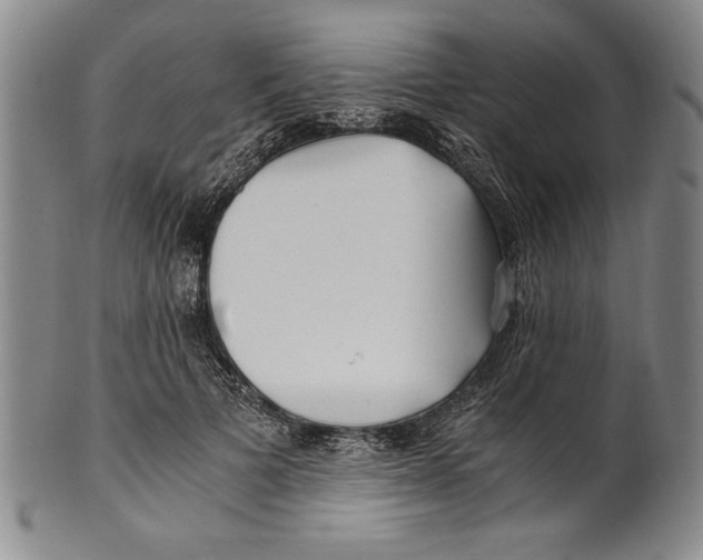 X0000100760697200807171342
