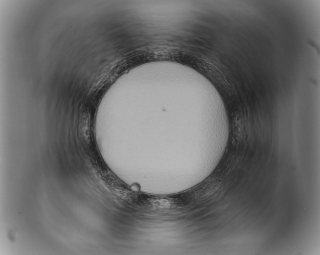 X0000100760698200807171342