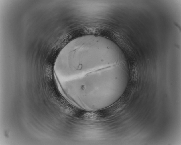X0000100760699200807171342