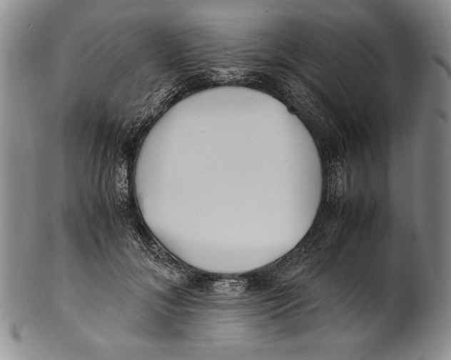 X0000100760700200807171342