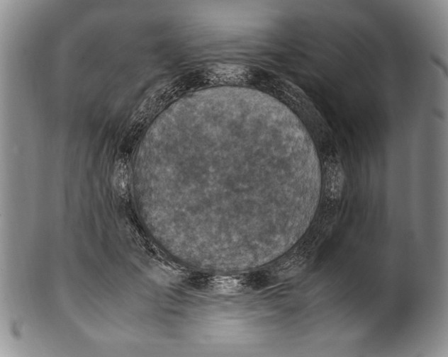 X0000100760701200807171342