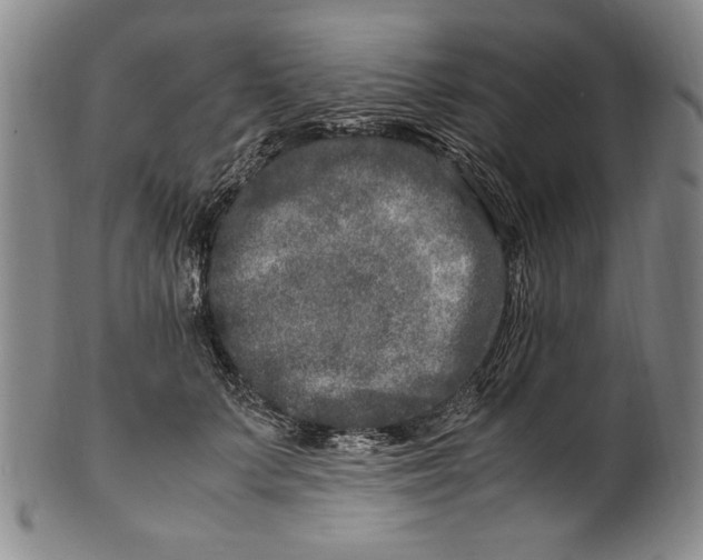 X0000100760703200807171342