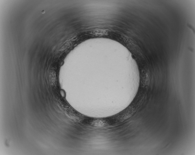 X0000100760704200807171342