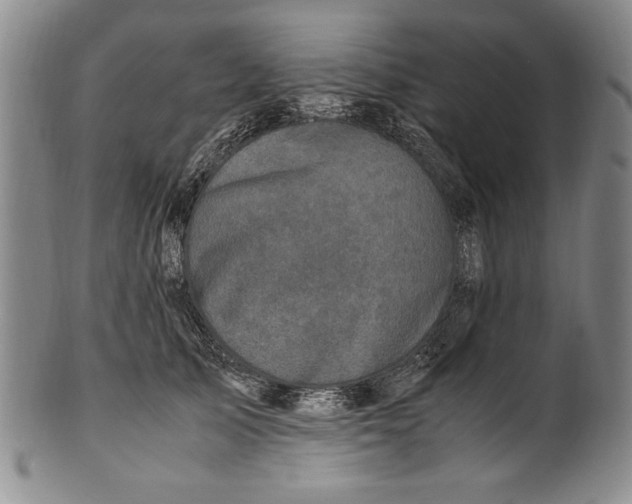X0000100760705200807171342