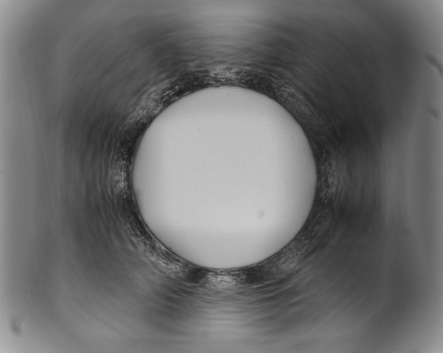 X0000100760706200807171342