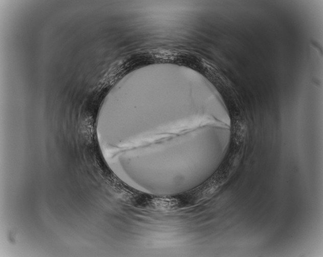 X0000100760707200807171342
