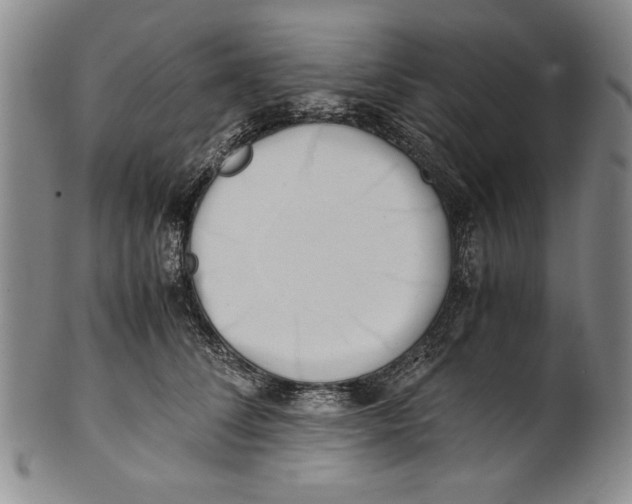 X0000100760708200807171342