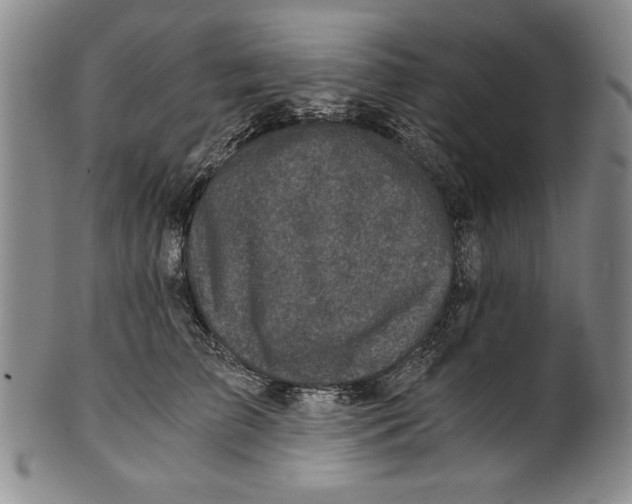 X0000100760709200807171342