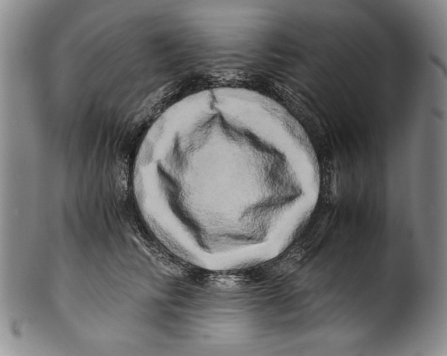 X0000100760710200807171342
