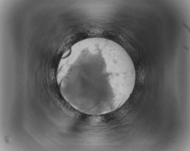 X0000100760711200807171342