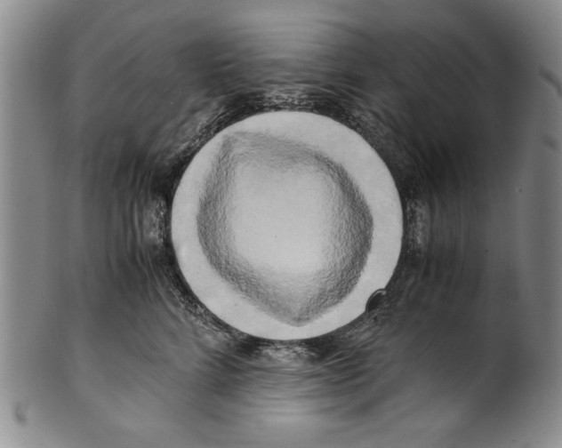X0000100760712200807171342