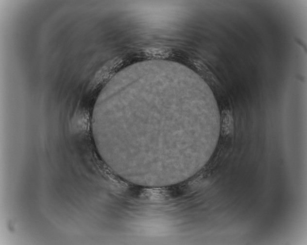 X0000100760713200807171342