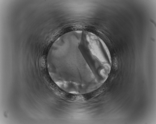 X0000100760715200807171342