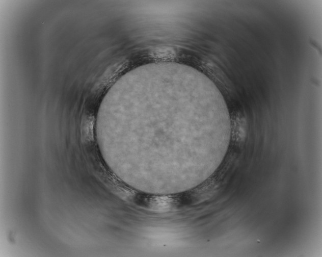 X0000100760717200807171342