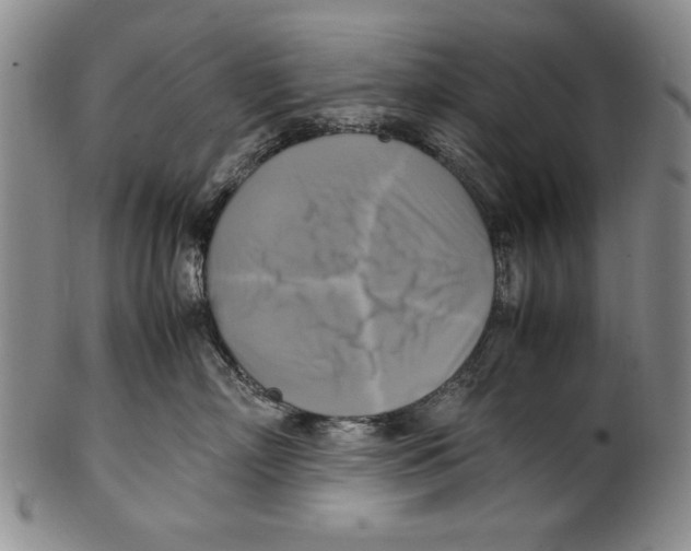 X0000100760718200807171342