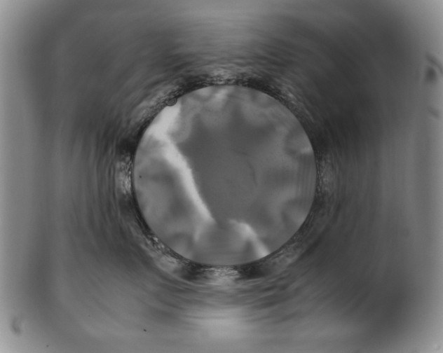 X0000100760719200807171342