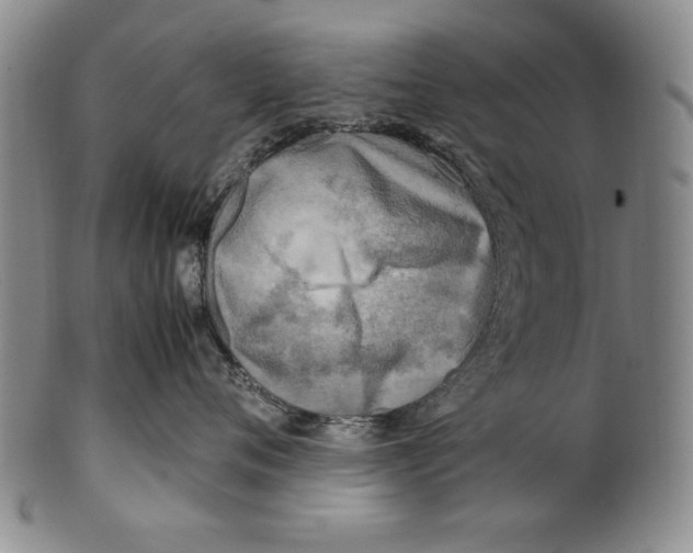 X0000100760720200807171342