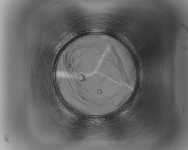 X0000100760721200807171341