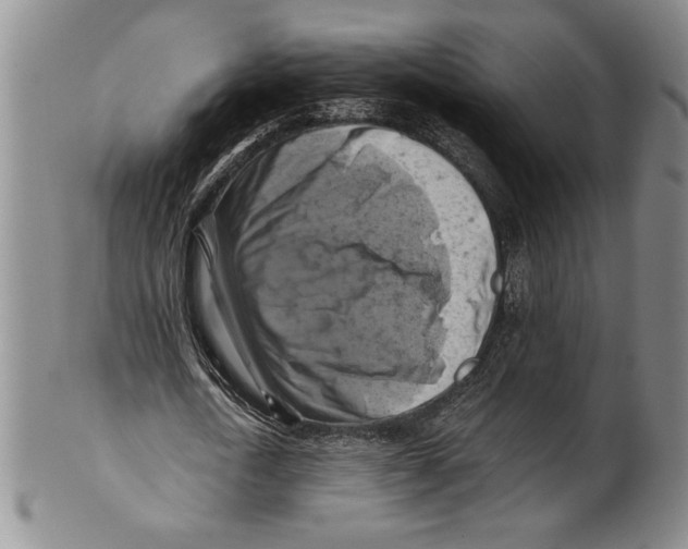 X0000100760722200807171341