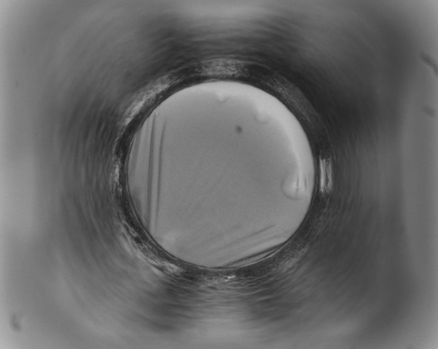 X0000100760723200807171341