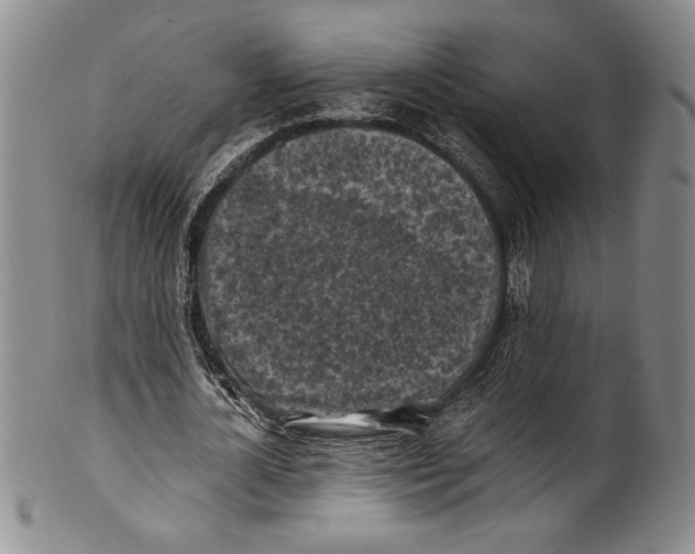 X0000100760724200807171341