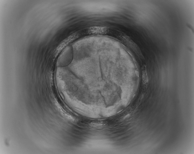 X0000100760725200807171341