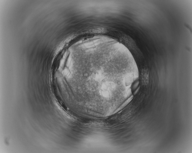 X0000100760726200807171341