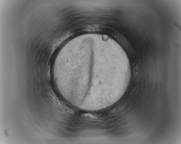 X0000100760727200807171341