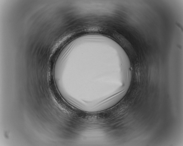 X0000100760728200807171341