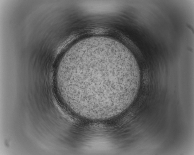 X0000100760730200807171341