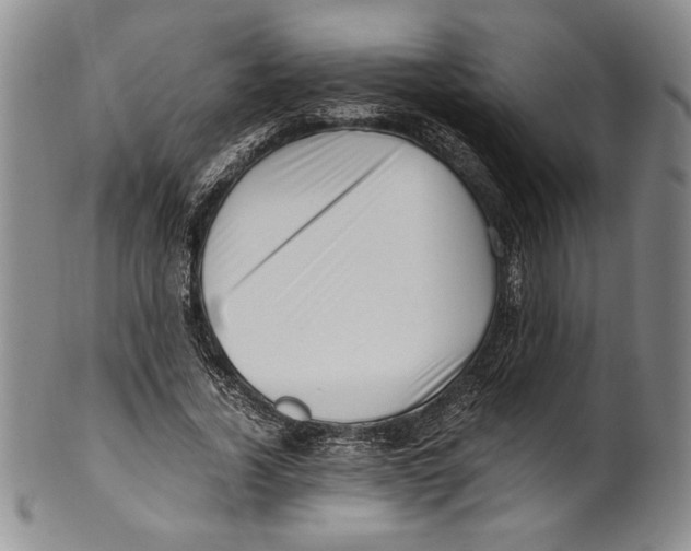 X0000100760732200807171341